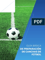 guia-basica-preparacion-canchas-conmebol-2019-esp.pdf