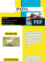 Exposición Pato