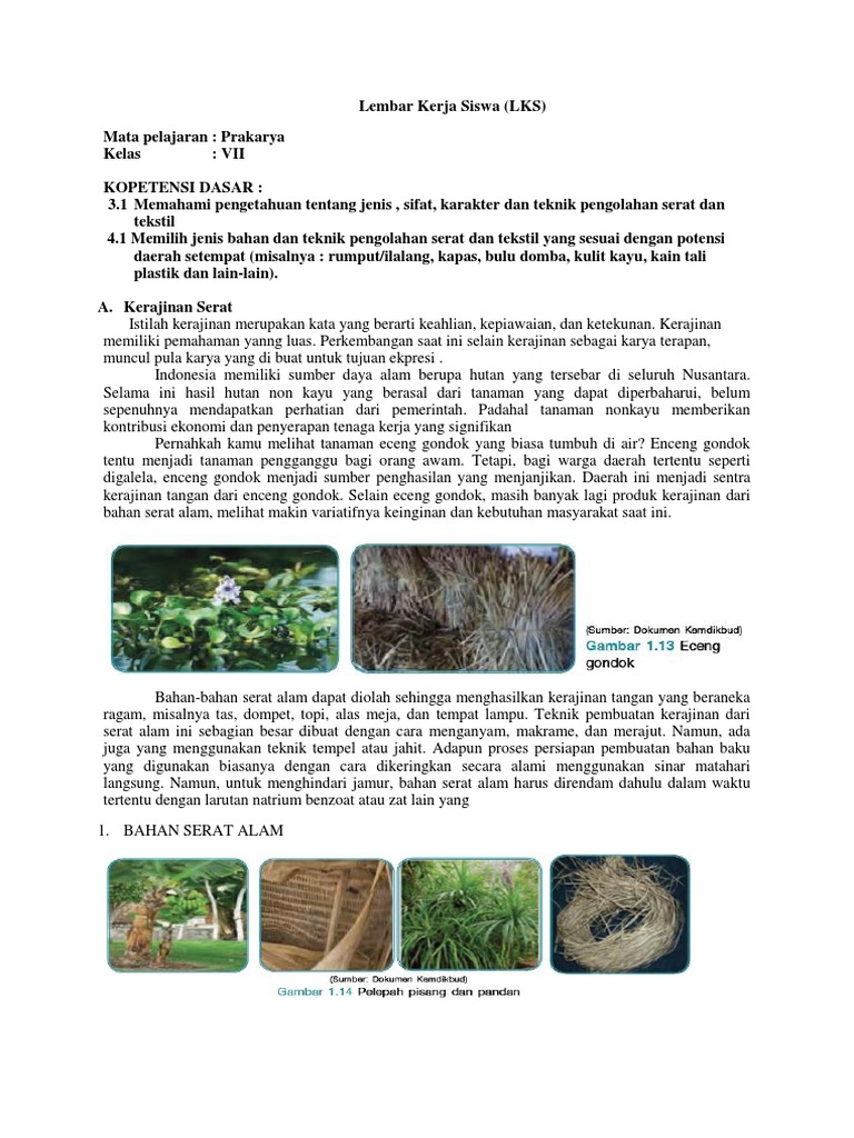 Prakarya Smp Pdf