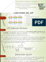 FUNCIIONES DEL ATP.pdf