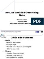 Netcdf and Self-Describing Data: Kate Hedstrom January 2010