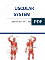 Muscular System: Lecture By: M.K. Sastry