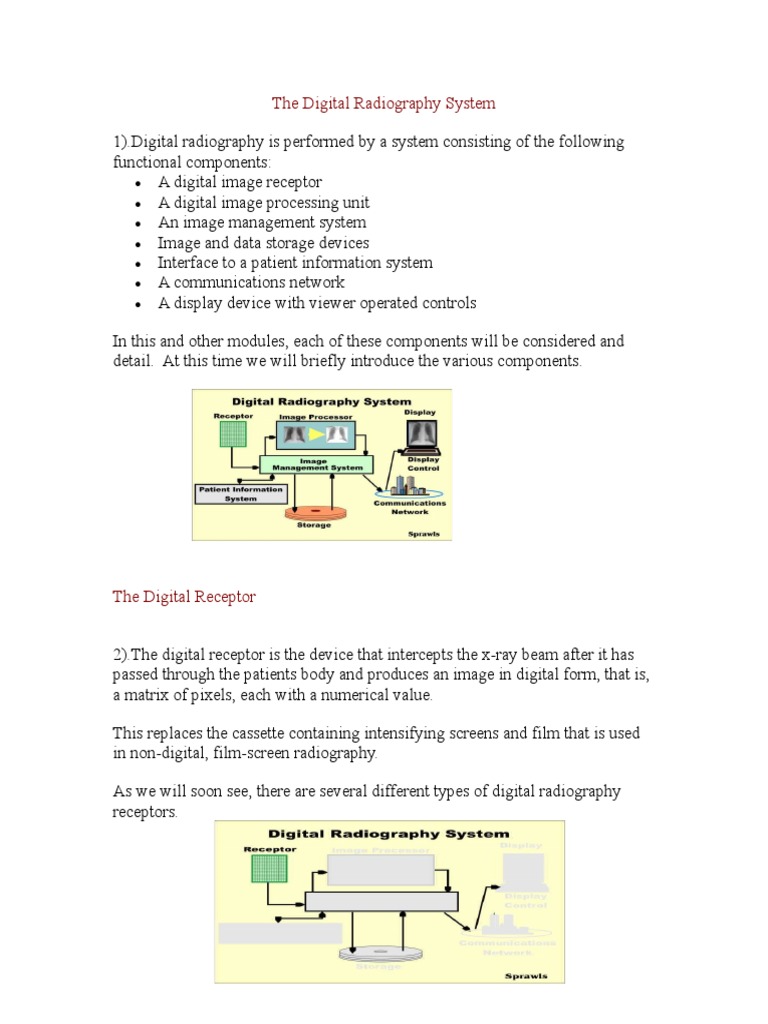 Components of Digital Radiography System | PDF | Radiography | Digital ...