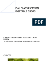 Botanical Classification of Vegetable Crops