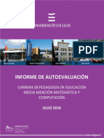 Informe Autoevaluacion PMyC 2016 PDF