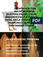 Suplementacion Con Harina de Moringa Oleifera en Pollos de Engorde en La Etapa de Ceba, en La Universidad Francisco de Paula Santander Ocaña