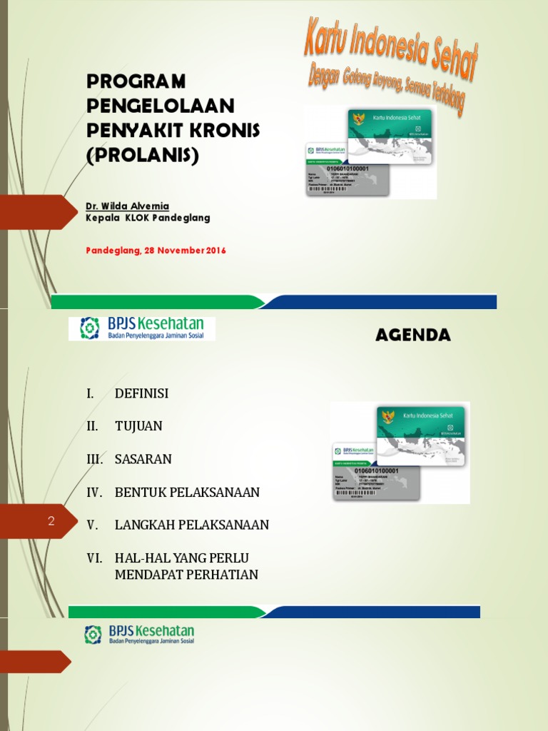 Program Prolanis untuk Penyakit Kronis | PDF