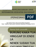 Bahan Paparan Perkesmas Lebak