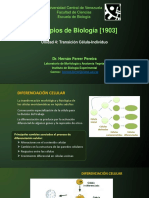 PrincBiol Tema 4 - Transición Célula-Individuo