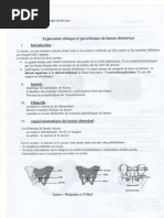 Scanopelvimétrie en obstétrique | PDF | Appareil locomoteur