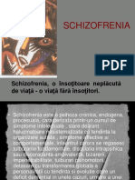 Schizofrenia-rezumat.pps