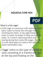 Fish Cage