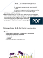 Fisiopatología e Coli