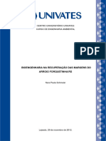 Bioengenharia na recuperação das margens do Arroio Forquetinha.pdf
