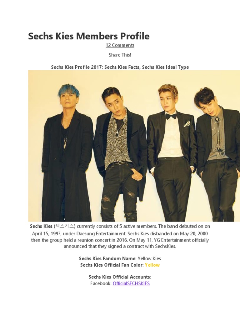 Sechs Kies Members Profile | Download Free PDF | Artists | Musicians