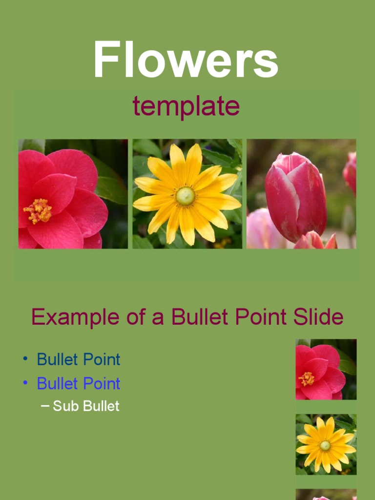 Flowers: Template | PDF