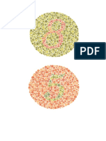 Ishihara chart 2 page 