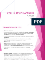 Cell & Its Functions