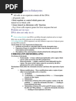 Gene Expression Simulation Lab Guide | PDF | Messenger Rna | Gene