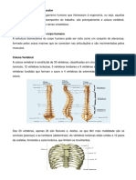 Aula 12 - Fisiologia Do Trabalho Muscular