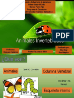 Animales Invertebrados