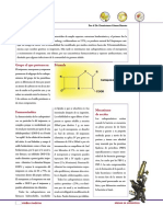 Carbapenems PDF