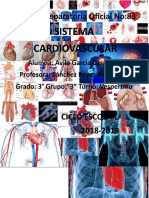 Sistema Cardiovascular: Escuela Preparatoria Oficial No:83