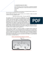 Fisiopatologia de La Diabetes Mellitus Tipo 2