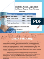 PKL LAB KLINIK SAYANG