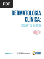Dermatología Clínica Epidermis Piel - 