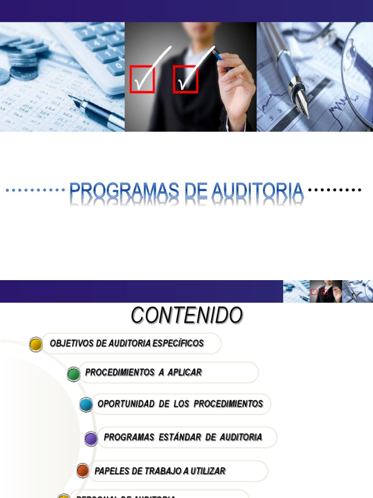 Procedimientos y Objetivos de Auditoría | PDF | Auditoría | Contralor
