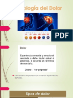 Fisiología Del Dolor