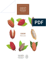 Cacao Mexicano