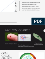 Cycle: Radiation Biology HVB32103