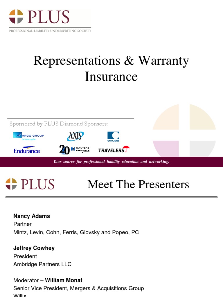Representation and Warranties PDF Underwriting Indemnity
