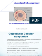 Cellular Adaptation: Pathophysiology: The Cell Is The Fundamental Unit of Disease