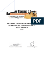 Programa Prevención de Riesgos 2019 Carlos Torres PDF