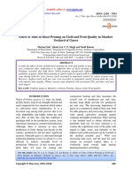 Effect of Time of Shoot Pruning On Yield and Fruit Quality in Meadow Orchard of Guava