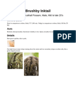 Brushby Inktail PDF