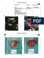 31/1/2019 Mrs. SS / 49 Yo/ 10-1-2019 / 869352 - Adhesiolysis - Total Histerectomy - Left Cystectomy - Wound Surgery Follow Up