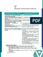 ELEMENTOS DE IDENTIFICACIÓN Y ANÁLISIS COGNITIVO.pdf