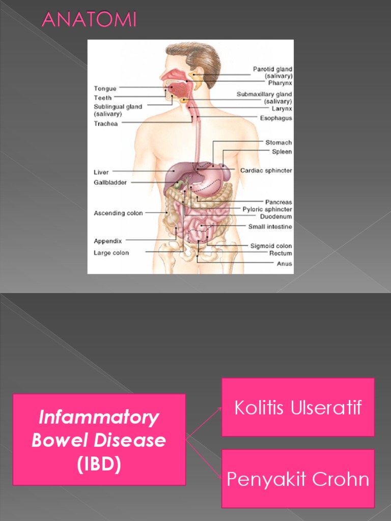 Ibd | PDF