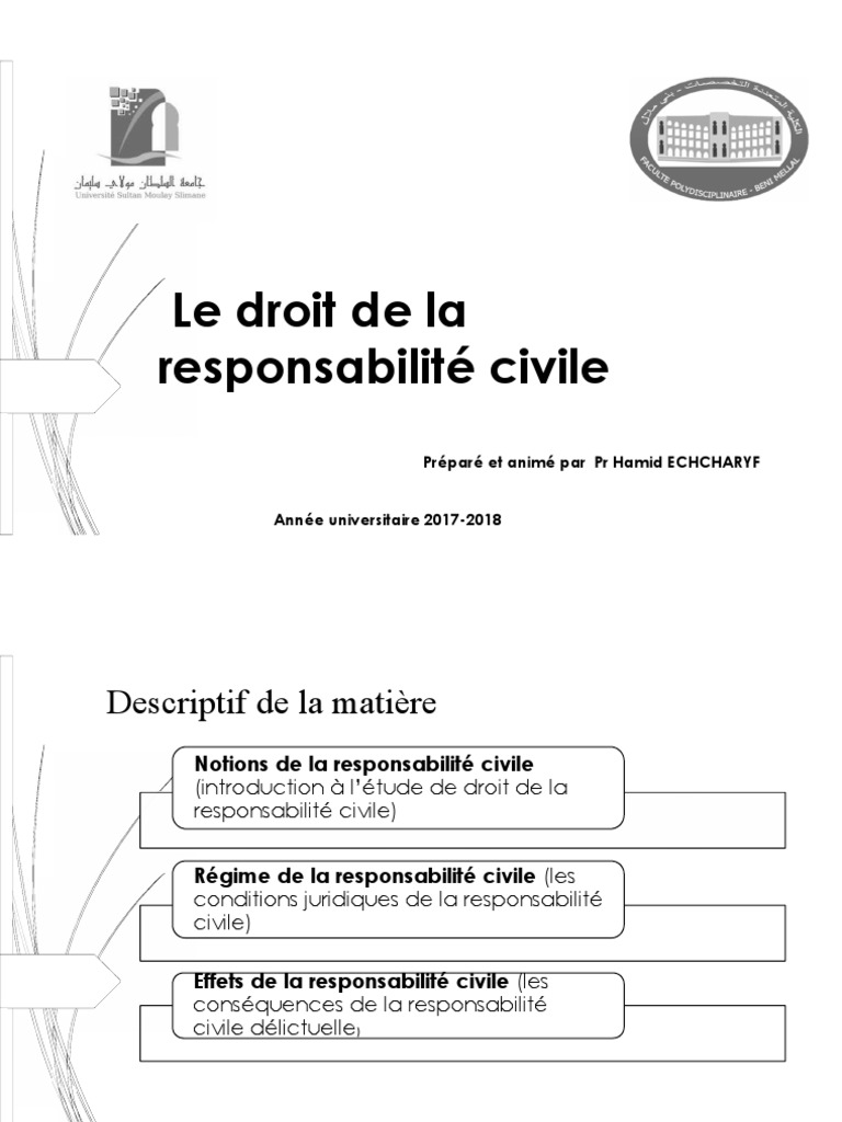 Notions clés de la responsabilité civile | PDF | Loi criminelle | Juge