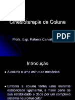 Cinesioterapia Coluna PDF