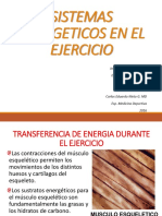 1.-SISTEMAS-ENERGETICOS-EN-EL-EJERCICIO-JCGT-CENG (1).pdf