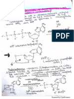 Subiecte Biochimie Mohora-SEM2 (Florinita Buturuga) PDF