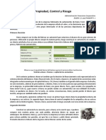 Lectura N°11 Propiedad, Control y Riesgo.pdf