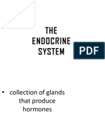 ENDOCRINE SYSTEM PART 1.pdf