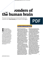 8 wonders of the brain.pdf
