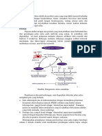 Status Asmatikus